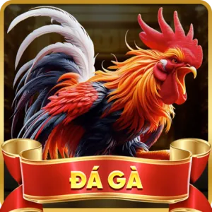 Casino trực tuyến mv66 nhà cái